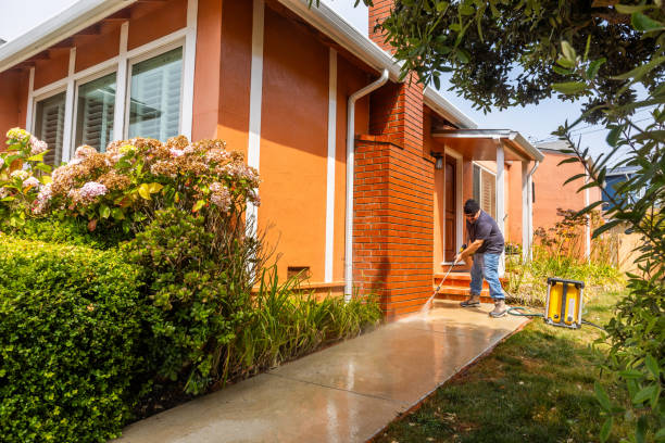 Best Pressure Washing Near Me  in Bling, AR